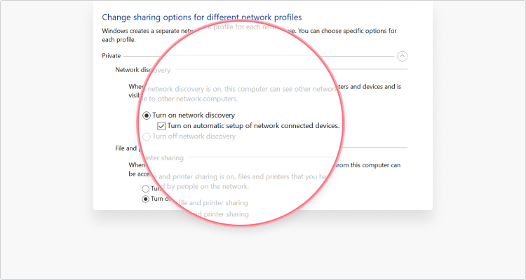 Windows Network Discovery instruction - Select Turn on automatic setup of network-connected devices box